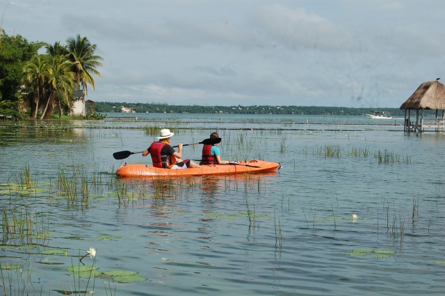 kayaks en manglaternera